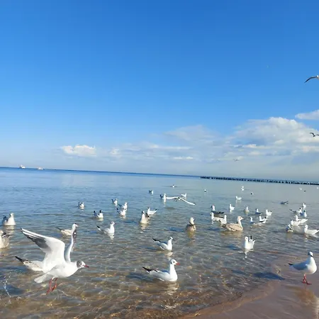 103 Z Widokiem Na Morze Diune & 5* Kołobrzeg